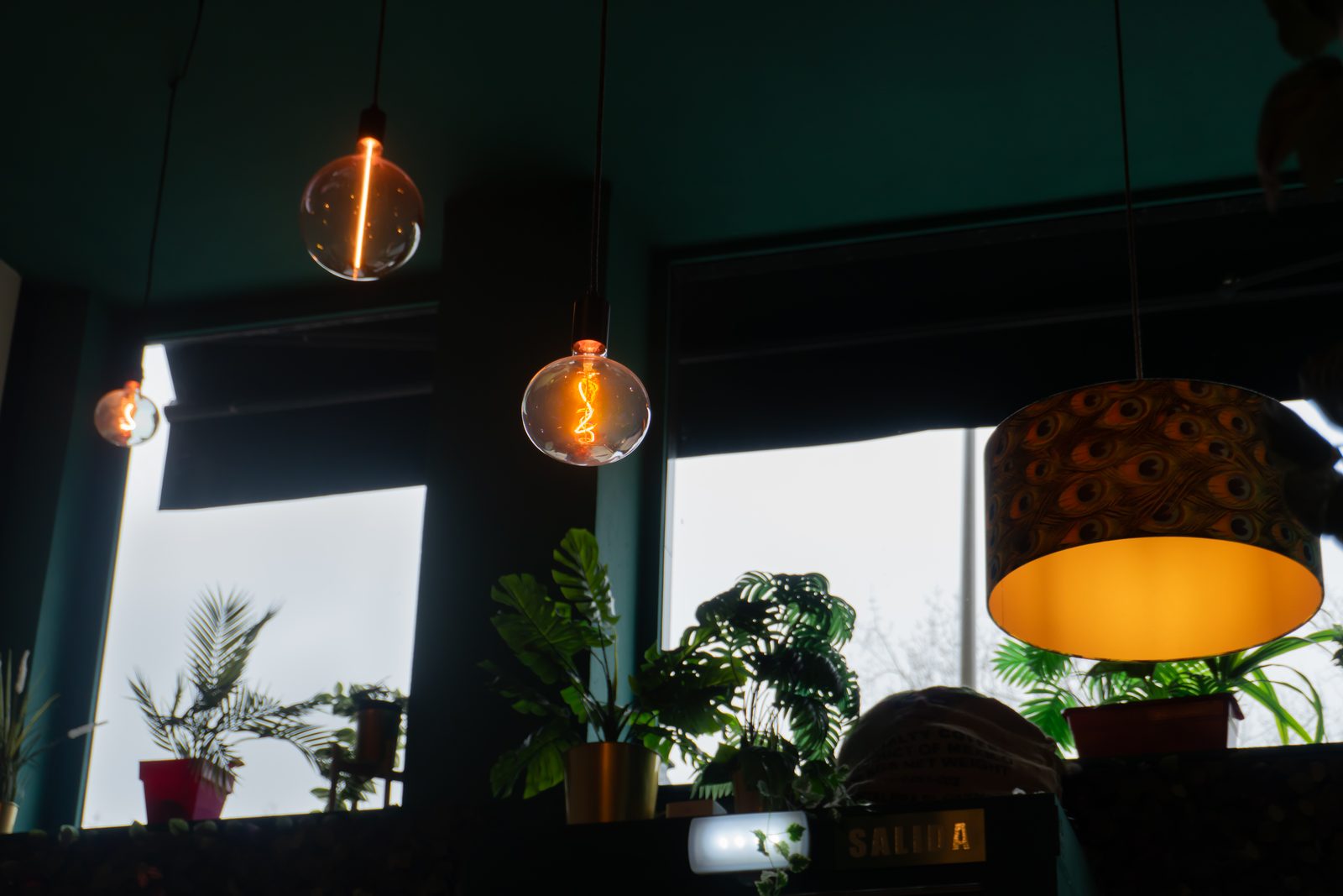 Decoración con bombillas Edison y plantas - cafetería de especialidad en Gijón